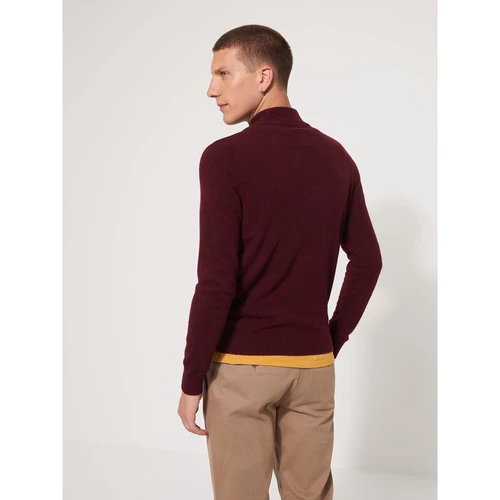 Devred Pull col boutonné en coton cachemire for Pulls & Gilets Couleur Prune – Image 2